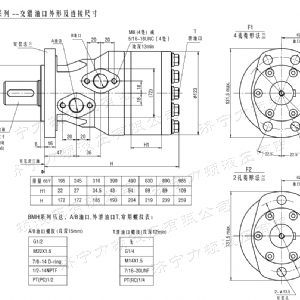 BMH系列交错油口米兰（中国）马达